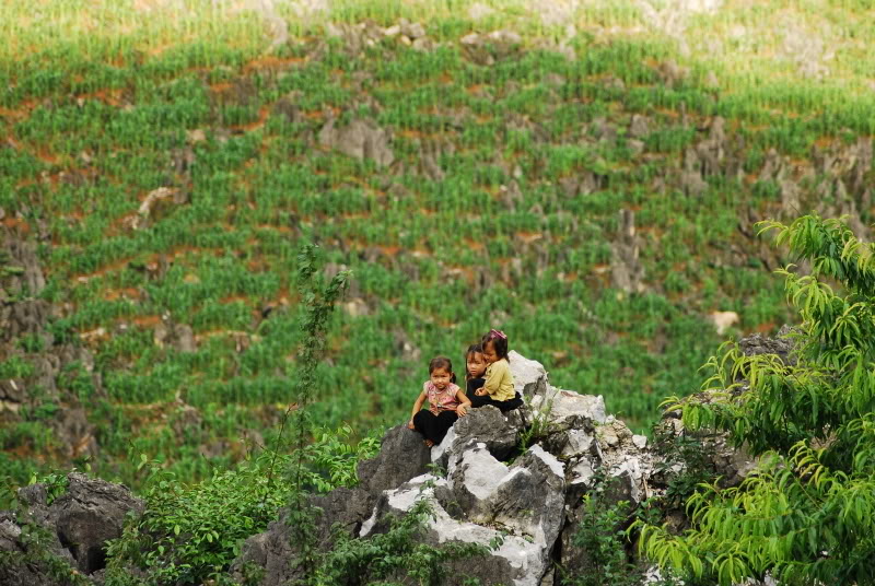 Description: Những em bé đang chơi đùa trên đá tại Sa Pa. 